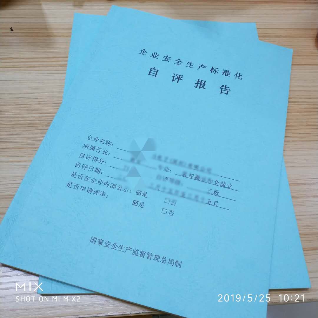 企業(yè)安全生產(chǎn)標(biāo)準(zhǔn)化自評報告